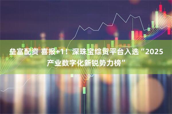 垒富配资 喜报+1!深珠宝综贸平台入选“2025产业数字化新锐势力榜”