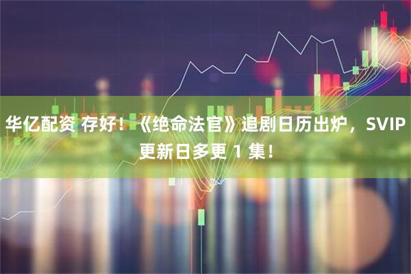 华亿配资 存好!《绝命法官》追剧日历出炉,SVIP更新日多更 1 集!